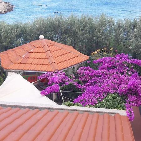 Apartments Luka セヴィド エクステリア 写真